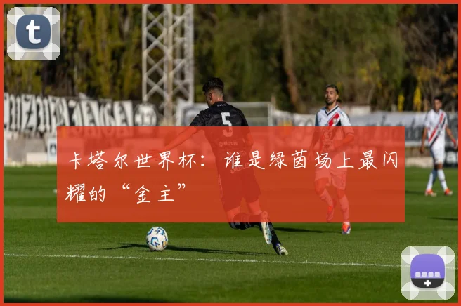 卡塔尔世界杯：谁是绿茵场上最闪耀的“金主”